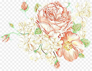 Floral Design, Cabbage Rose, Garden Roses, Cut Flowers, Flower PNG