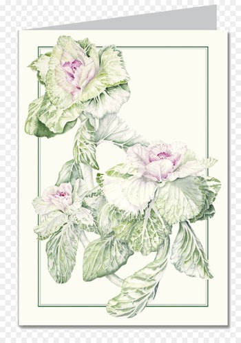 Floral design Calendar Garden roses Botany Flower - flowering kale varieties 