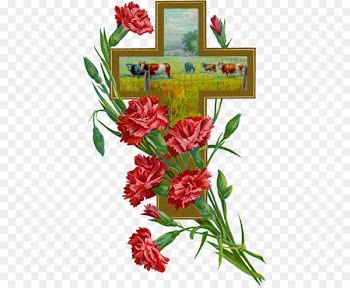 Floral design Carnation, Lily, Lily, Rose Flower - stary background 