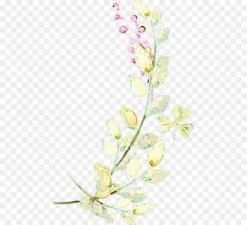 Floral Design, Cherry Blossom, Stau150 Minvuncnr Ad, Flower, Plant PNG