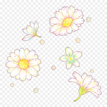 Floral Design, Chrysanthemum, Cut Flowers, Flower, Botany PNG
