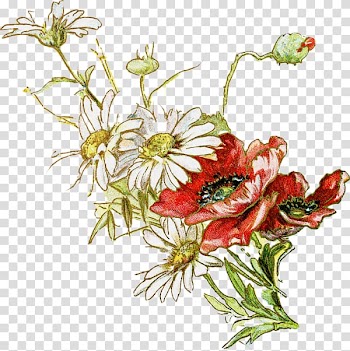 Floral design Chrysanthemum xd7grandiflorum Flower , Color chrysanthemum transparent background PNG clipart