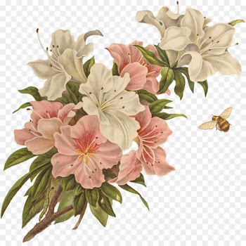 Floral design Clip art - vintage floral flower 