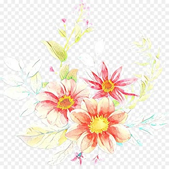 Floral Design, Cut Flowers, Chrysanthemum, Flower, Pink PNG