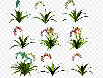 Floral design Cut flowers Clip art Portable Network Graphics -  