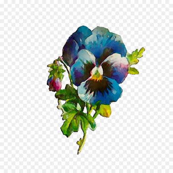 Floral design Cut flowers Flower bouquet -  