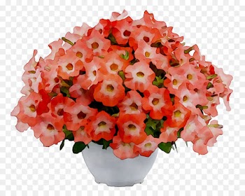 Floral design Cut flowers Flower bouquet Flowerpot -  
