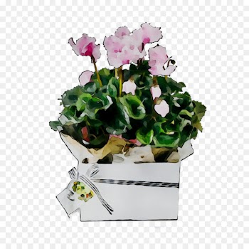 Floral design Cut flowers Flower bouquet Flowerpot -  