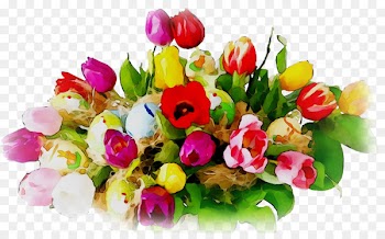Floral design Cut flowers Flower bouquet Tulip -  