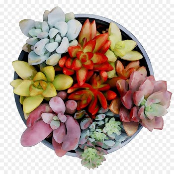 Floral design Cut flowers Flower bouquet Vegetable -  