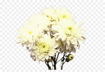 Floral Design, Cut Flowers, Flower, Flowering Plant PNG