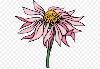 Floral Design, Cut Flowers, Flower, Petal PNG