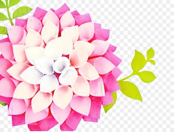 Floral Design, Cut Flowers, Flower, Pink, Petal PNG