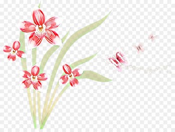 Floral Design, Cut Flowers, Flower, Pink PNG