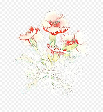 Floral Design, Cut Flowers, Flower, Plant PNG