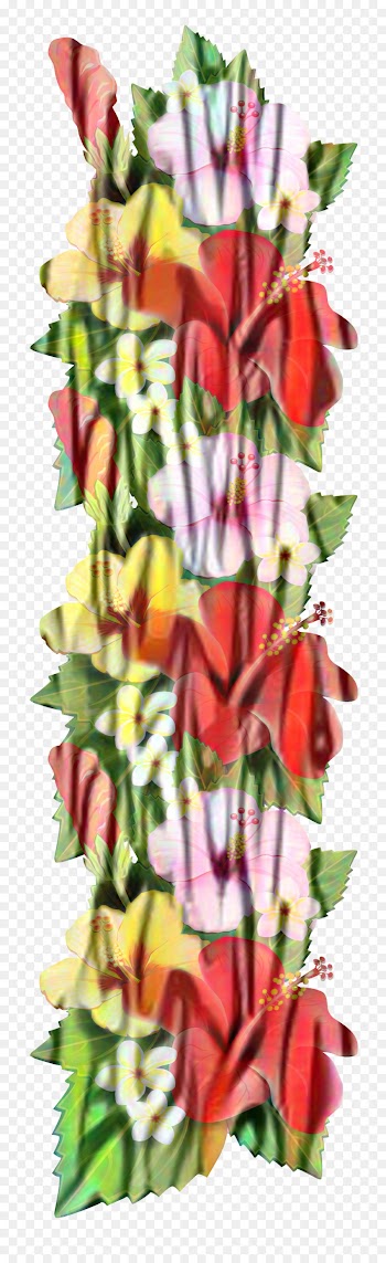 Floral Design, Cut Flowers, Flower, Plant PNG