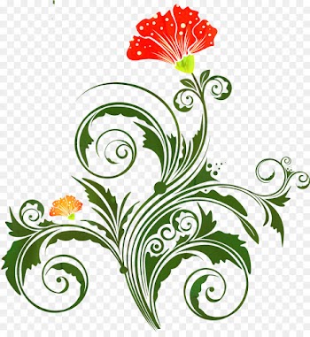 Floral Design, Cut Flowers, Flower, Plant PNG