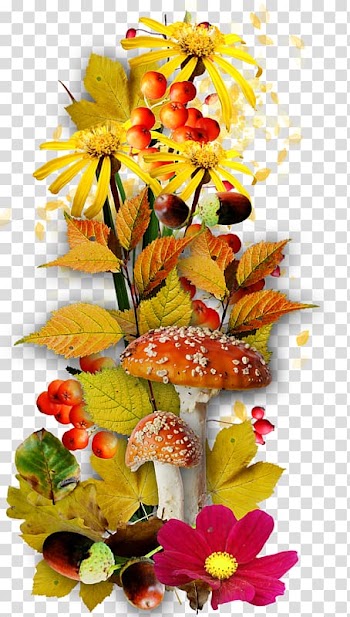 Floral design Cut flowers, flower transparent background PNG clipart