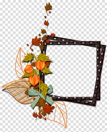 Floral design Cut flowers Frames , flower transparent background PNG clipart