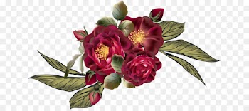 Floral Design, Cut Flowers, Garden Roses, Flower, Flowering Plant PNG
