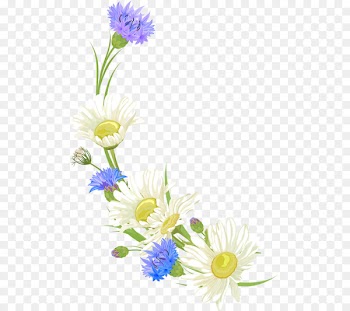 Floral design Cut flowers Illustration Chrysanthemum - flower 