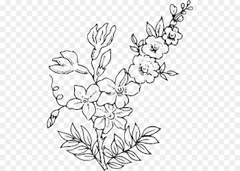 Floral Design, Cut Flowers, Leaf, White, Plant PNG