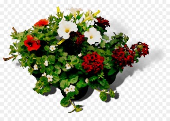 Floral design Cut flowers Meter Flower bouquet -  