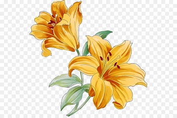 Floral design Cut flowers Petal Flower bouquet - flower 