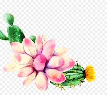 Floral Design, Cut Flowers, Petal, Flower, Pink PNG