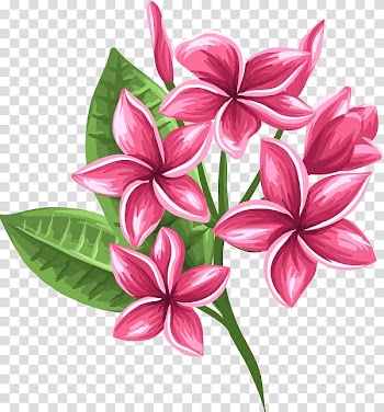 Floral design Cut flowers Petal, flower transparent background PNG clipart