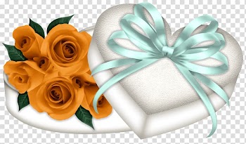 Floral design Cut flowers Petal, Gift transparent background PNG clipart