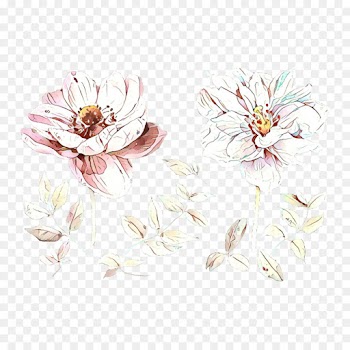 Floral Design, Cut Flowers, Petal, White, Flower PNG