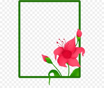 Floral design Cut flowers Plant stem - accion banner 