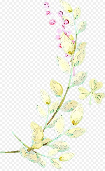 Floral Design, Cut Flowers, Plant Stem, Flower, Plant PNG