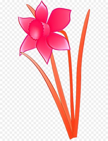 Floral Design, Cut Flowers, Plant Stem, Pink, Petal PNG