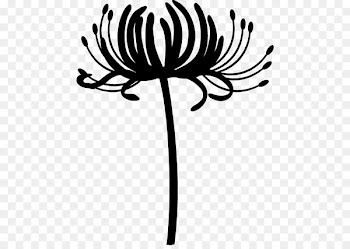Floral design Cut flowers Plant stem Text -  