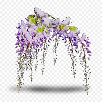 Floral design Cut flowers Purple -  