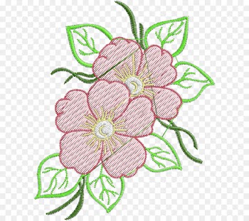 Floral Design, Cut Flowers, Rose, Flower, Pink PNG
