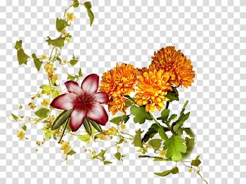 Floral design Cut flowers Saint, tampon amour transparent background PNG clipart