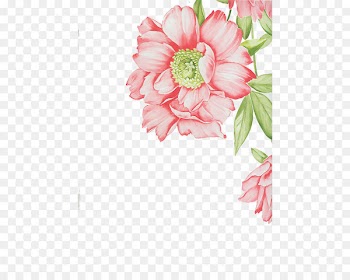 Floral design Cut flowers Transvaal daisy Flower bouquet Artificial flower - Pink flowers 