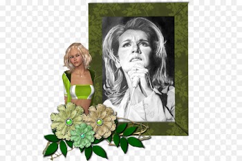 Floral design Cut flowers WhatsApp Facebook - celine dion 
