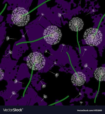 Floral design Dandelion vector image