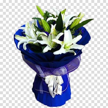 Floral design, Dark blue packaging White Lily transparent background PNG clipart