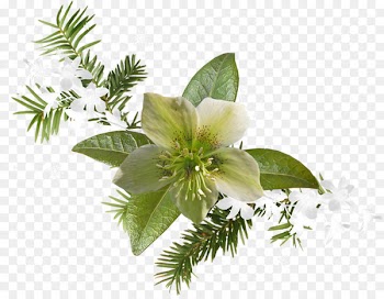 Дневник.ру Floral design - design 