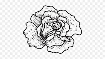 Floral Design Drawing Computer - Roses Drawing Transparent