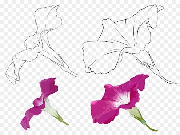 Floral design Drawing Watercolor painting - best part 