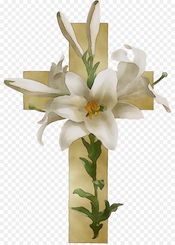 Floral design Easter lily Flower Borders and Frames Clip art -  