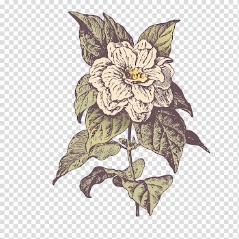 Floral design Flower, Abstract flowers background element transparent background PNG clipart