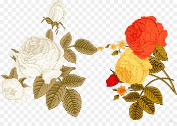 Floral design Flower - Beautiful hand-painted vintage flowers 