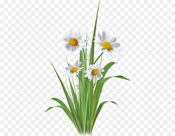 Floral design Flower bouquet Clip art Cut flowers - flower 